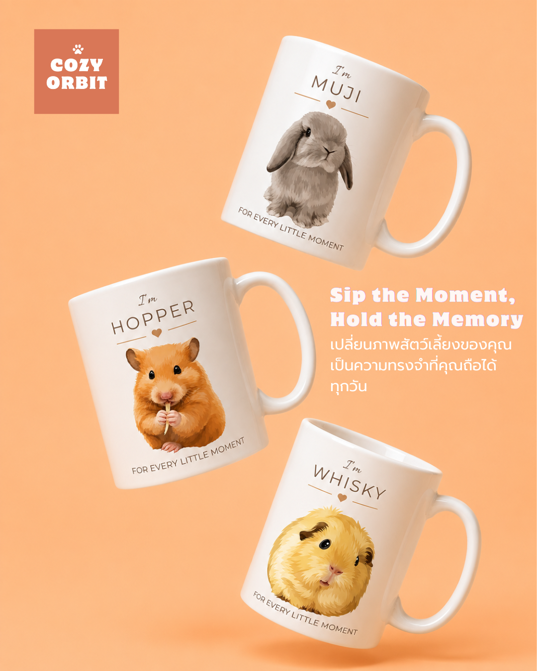 คอลเลกชันแก้ว Muji, Hopper และ Whisky